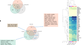 human infectious disease research paper