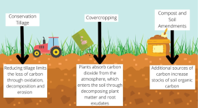 agriculture related research paper topics agriculture related research paper topics