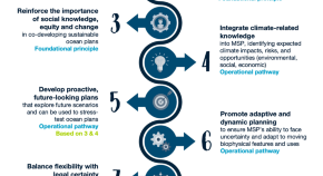 science new research project