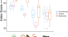 research report of climate change