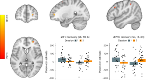 neuroscience research studies neuroscience research studies