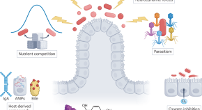 medical microbiology presentation topics