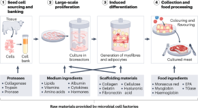 research paper topics in plant biotechnology research paper topics in plant biotechnology