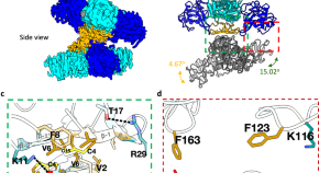 thesis topics in virology