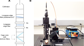 recent thesis on chemistry