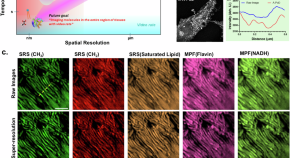 research paper related to digital image processing