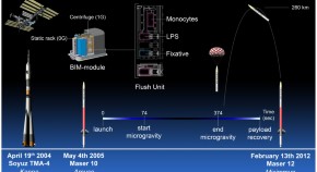 international space station research papers international space station research papers
