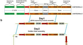 research paper on plant community