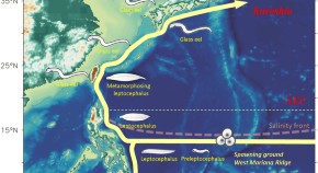 Articles In 17 Scientific Reports