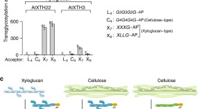 research paper on plant community