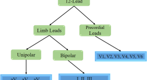 bmc medical research methodology word limit