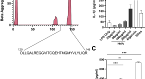 Sodium butyrate alleviates R97-116 peptide-induced myasthenia