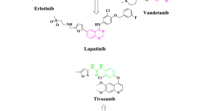 research paper on computer aided drug design