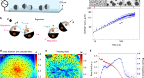 Physics articles for students image