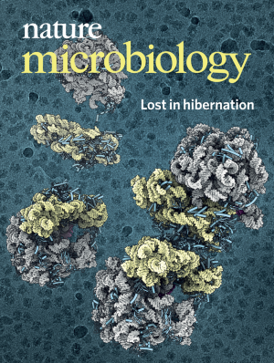 Glow liner morgue Scibey | Journals - Nature Microbiology