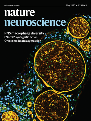 Nature Neuroscience CountryOfPapers