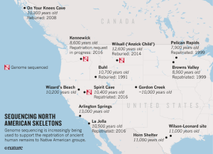 North America's oldest mummy returned to US tribe after genome sequencing |  Nature