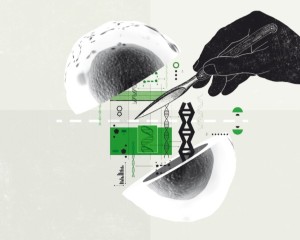Single-cell biology | Nature