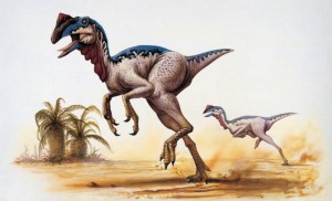 Dinosaurs neither warm-blooded nor cold-blooded | Nature