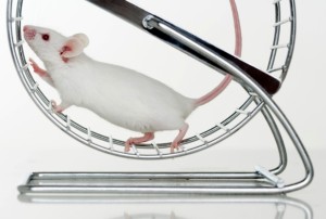 Running cures blind mice | Nature