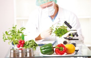 What is Food Science?