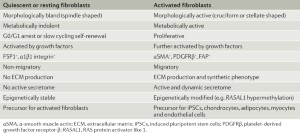 The biology and function of fibroblasts in cancer