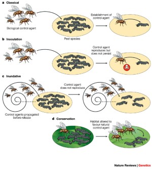 Genes in new environments: genetics and evolution in biological control |  Nature Reviews Genetics