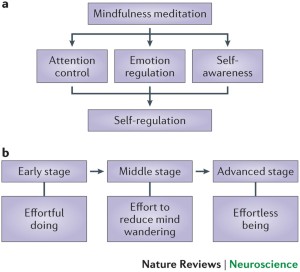The neuroscience of mindfulness meditation