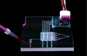 Um impulso para tecnologias disruptivas de biossensor Um impulso para tecnologias disruptivas de biossensor
