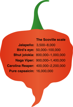 Scoville Scale for Spicy Food