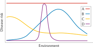 essay on evolution of early humans