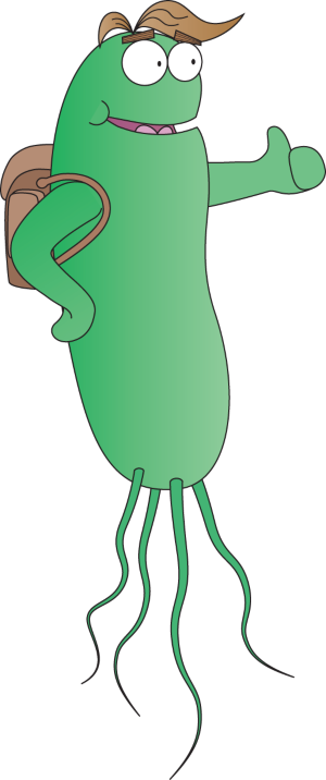 Listeria hitches a ride | Nature Reviews Microbiology Listeria hitches a ride | Nature Reviews Microbiology