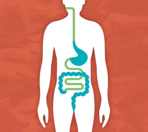 Abnormal gut transit linked to gastrointestinal symptoms in SSc | Nature  Reviews Rheumatology