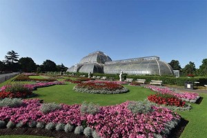 research on plant species