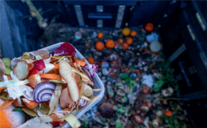 food waste in america essay