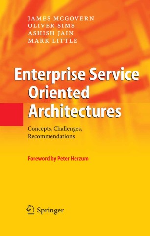 Enterprise Service Oriented Architectures Springerlink