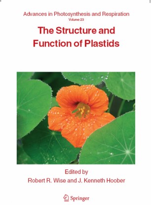 The Structure And Function Of Plastids Springerlink