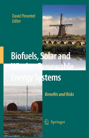 Biofuels Solar And Wind As Renewable Energy Systems