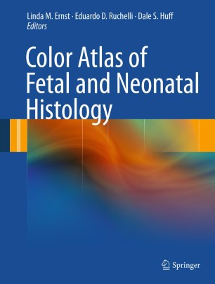 Download Color Atlas Of Fetal And Neonatal Histology Springerlink