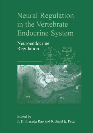 Neural Regulation in the Vertebrate Endocrine System | SpringerLink