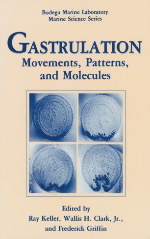 Gastrulation Springerlink