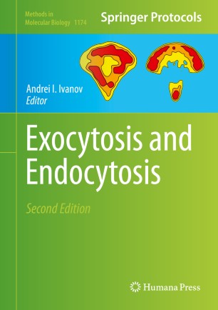 Exocytosis And Endocytosis Springerlink