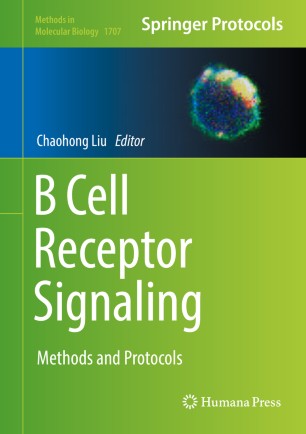 B Cell Receptor Signaling Springerlink - 