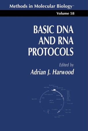 Basic Dna And Rna Protocols Springerlink