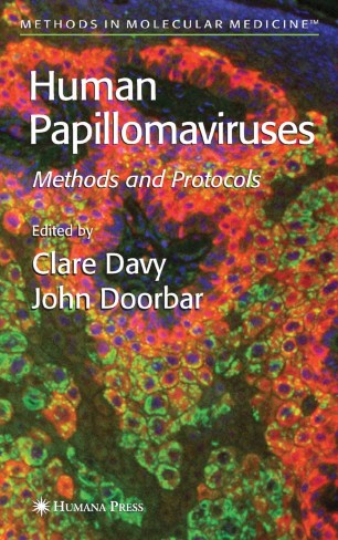 papillomavírus uk