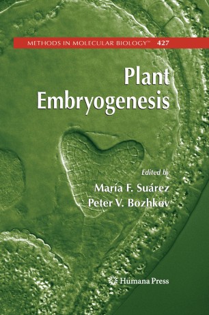 Plant Embryogenesis Springerlink