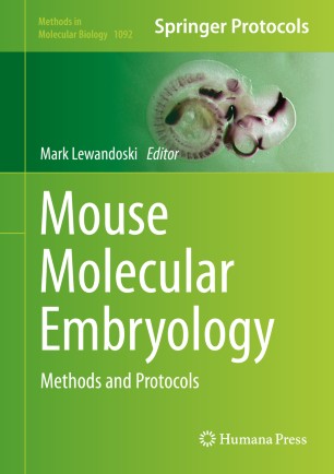 Download Mouse Molecular Embryology Springerlink