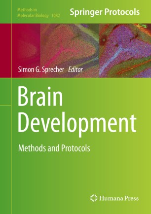 Brain Development Springerlink
