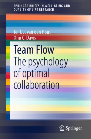 Team Flow Springerlink