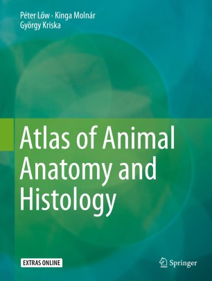 Atlas Of Animal Anatomy And Histology Springerlink
